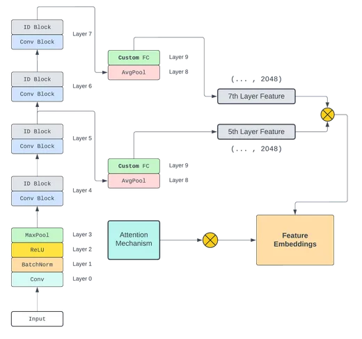 Custom ResNet50 architecture combining features from the fifth and seventh residual stages with an attention mechanism to create feature embeddings.